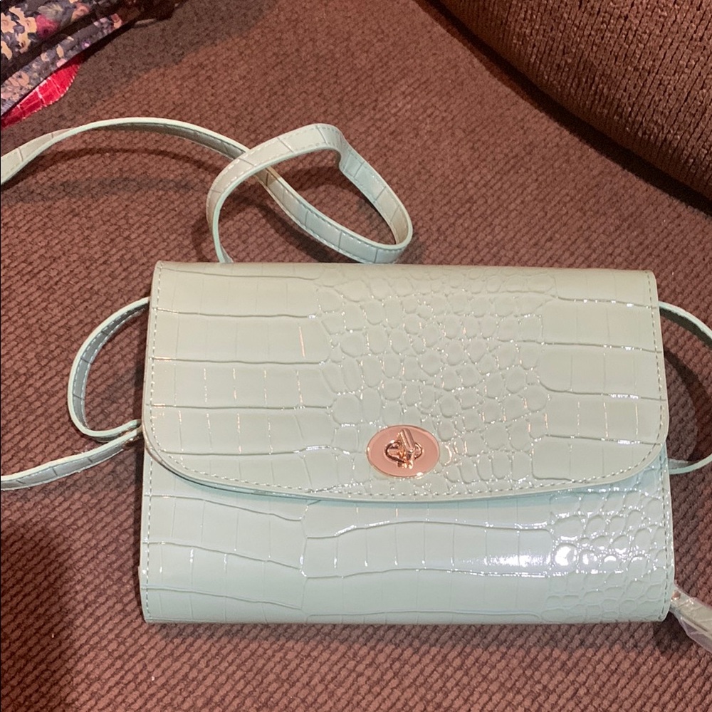 Samantha Brown Mint Green  Crossbody Bag NEW